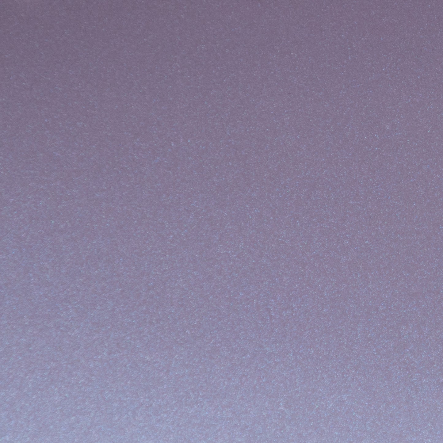 Lavender Purple