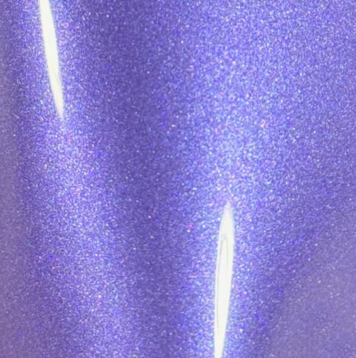Lobelia Purple
