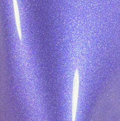Lobelia Purple
