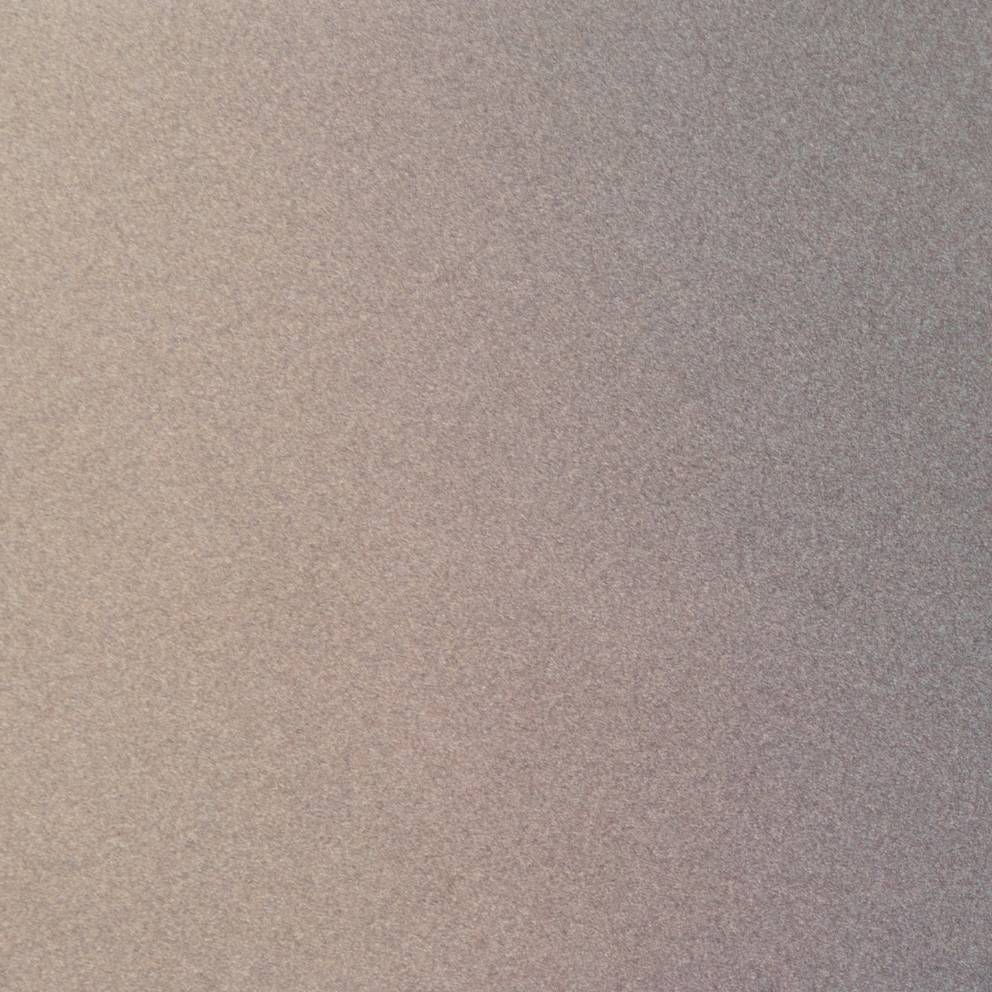 Splendid Gray